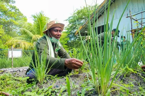 One tree for the better future Foto stock