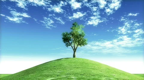 One tree blue sky 2 Stock Footage 773014