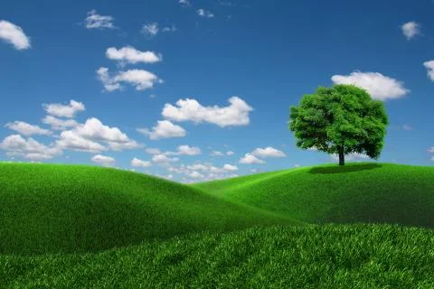 One tree on a grass field Stock Illustration