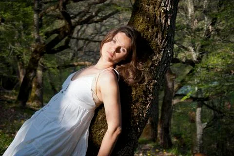 One with the tree Stock Photos