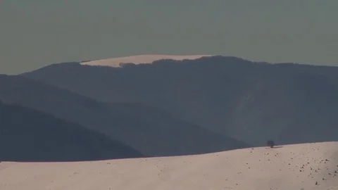 One tree on a snowy hill on a background of mountains Stock Footage 70363631