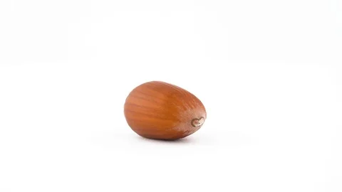 One unshelled raw hazelnut. Rotating on the turntable isolated on the white Stock Footage 96099804