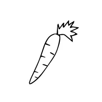 One vector carrots with hand drawn clip art. Black gardening illustration Stock Illustration