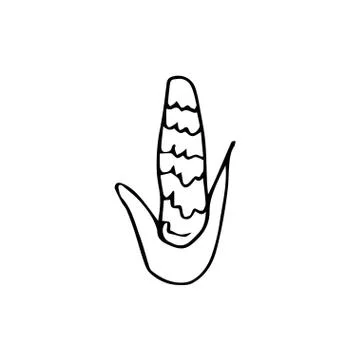 One vector corn with hand drawn clip art. Black gardening illustration Stock Illustration
