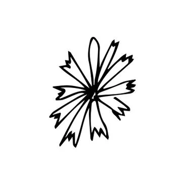 One vector cornflower with hand drawn clip art. Black gardening Stock Illustration