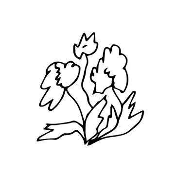 One vector flowers hand drawn clip art. Black gardening illustration Stock Illustration