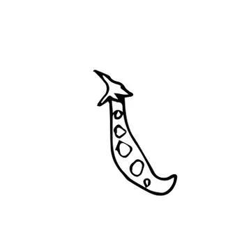 One vector peas with hand drawn clip art. Black gardening illustration Stock Illustration