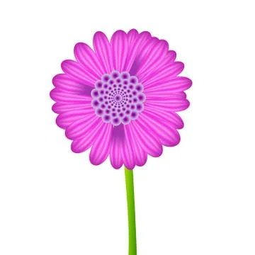 One vector realistic purple flower Stock Illustration