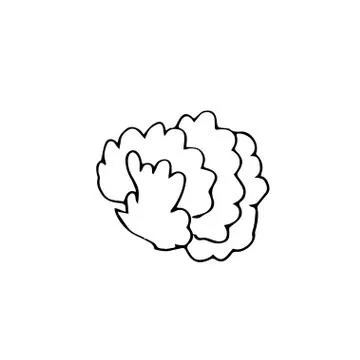 One vector sprout with hand drawn clip art leaves. Black gardening Stock Illustration