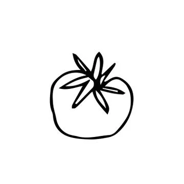 One vector tomato with hand drawn clip art. Black gardening illustration Stock Illustration