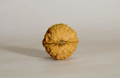 One walnut close-up on the table. Stock Photos