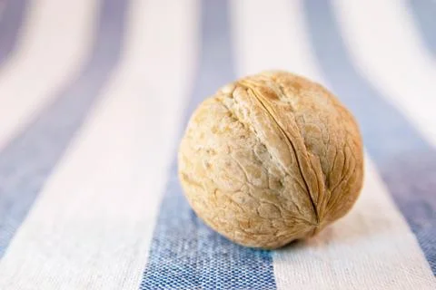 One walnut on a cloth Stock Photos