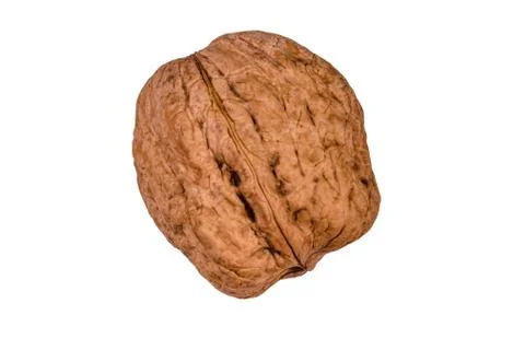 One walnut isolated on the white background Stock Photos