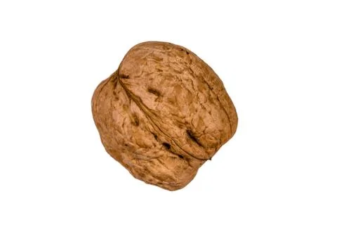 One walnut isolated on the white background Stock Photos