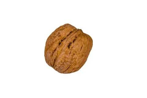 One walnut isolated on the white background Stock Photos