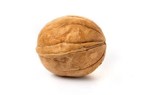 One walnut isolated on a white background. Stock Photos