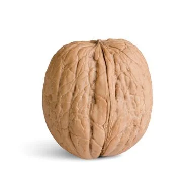 One walnut Stock Photos