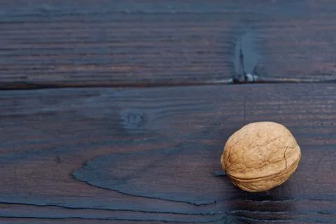 One walnut on a table Stock Photos