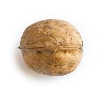 One walnut on white ackground Stock Photos