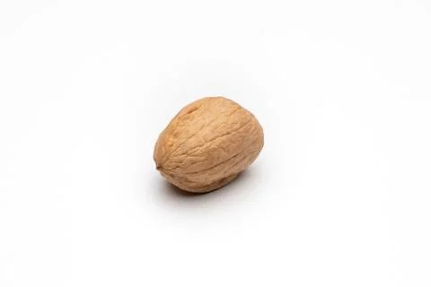 One walnut on white background Stock Photos