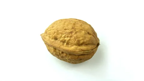 One walnut on white. Close up, rotating. Top view Stock Footage 91142398