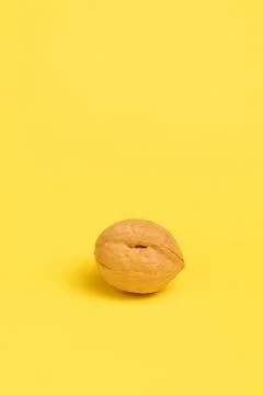 One walnut on yellow background. Stock Photos