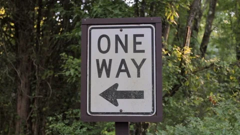 One way sign trees in background Stock Footage 91753009