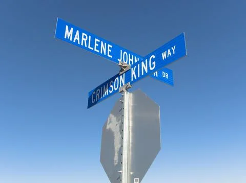 One way signs on a post isolated on white transparent, New York city USA Foto stock