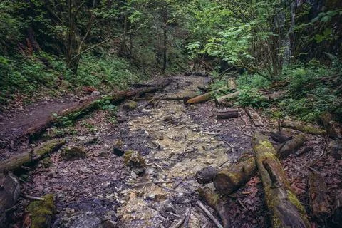 One way trail called Monastery Gorge in Slovak Paradise mountain range in Slo Fotos Stock