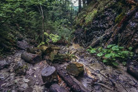 One way trail called Monastery Gorge in Slovak Paradise mountain range in Slo Photos
