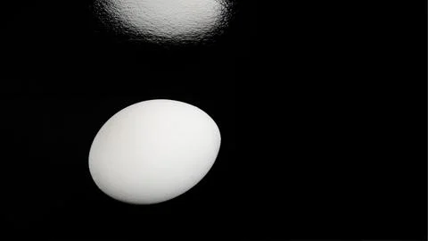 One white chicken egg Stock Photos