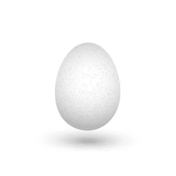 One white chicken egg with shadow isolated on white background close up on wh Illustrazione stock
