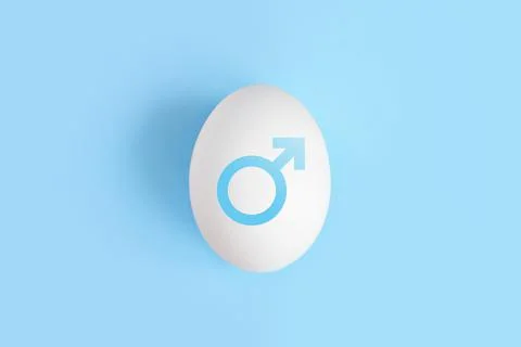 One white egg on a blue background. Creative concept in the style of minimali Stock Photos