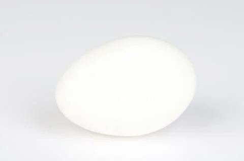 One white egg Stock Photos