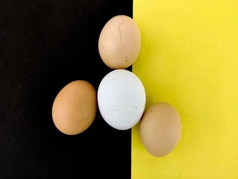 One white egg is surrounded by three brown eggs. Isolated on yellow and black Stock Photos