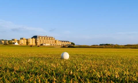 One white golf-ball in foreground on fairway of golf course with club build.. Stockfoto's
