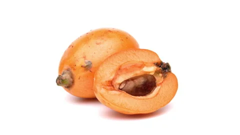 One whole and one half cut loquat fruit rotating. Isolated on white background. Stock Footage 158582304