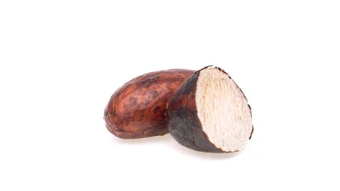 One whole and one half cut kola nut seeds rotating. Isolated on white Stock Footage 161025905