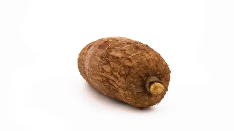 One whole cassava rotating on the turntable. Isolated on the white background. Stock Footage 99309749