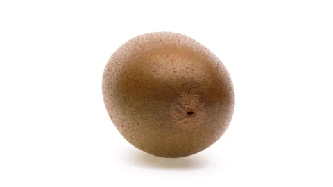 One whole kiwi fruit rotating on white background. Stock Footage 166229746