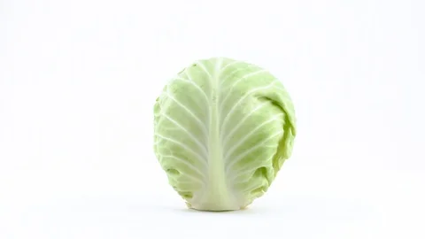 One whole mini white cabbage is rotating on the turntable isolated on the white Stock Footage 93842365