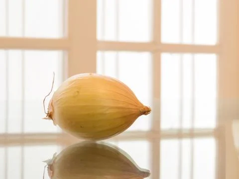 One whole onion reflected, with white background Stock Photos