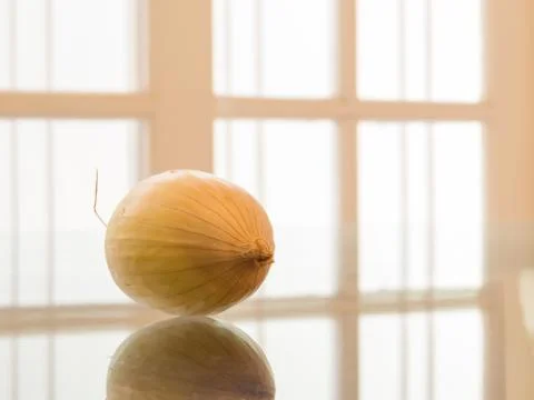 One whole onion reflected, with white background Stock Photos