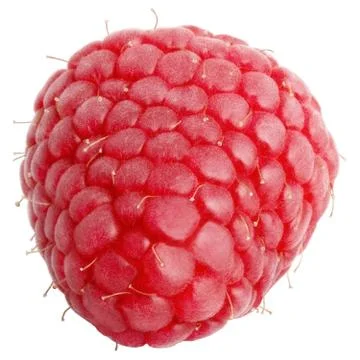 One whole raspberry isolated on white Stock Photos