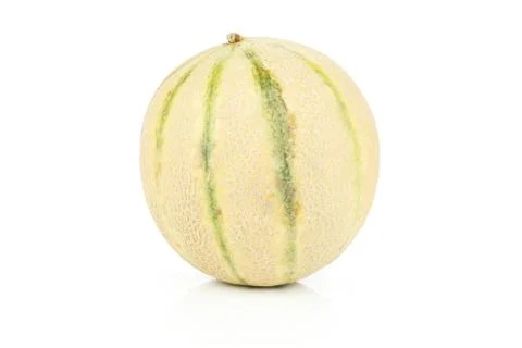 One whole ripe fresh melon cantaloupe variety isolated on white background Stock Photos
