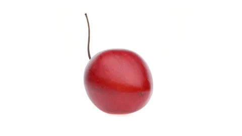 One whole tamarillo fruit is rotating on white background. Stock Footage 161027238