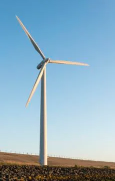 One windmill during twilight Stock Photos