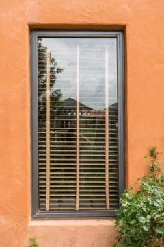 One window on the old brick wall covered with green leaves ivy plant Stock Photos
