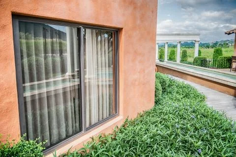One window on the old brick wall covered with green leaves ivy plant Stock Photos