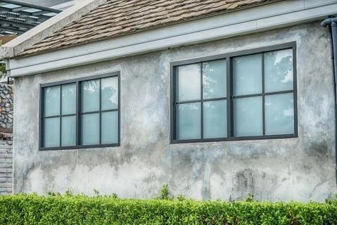 One window on the old brick wall covered with green leaves ivy plant Stock Photos
